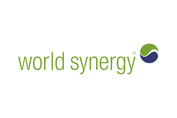 World Synergy Logo