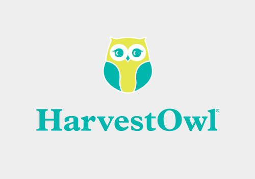 Harvest Owl Gray Background-1