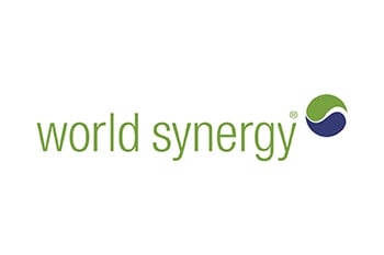 World Synergy Logo 350 x 233-1
